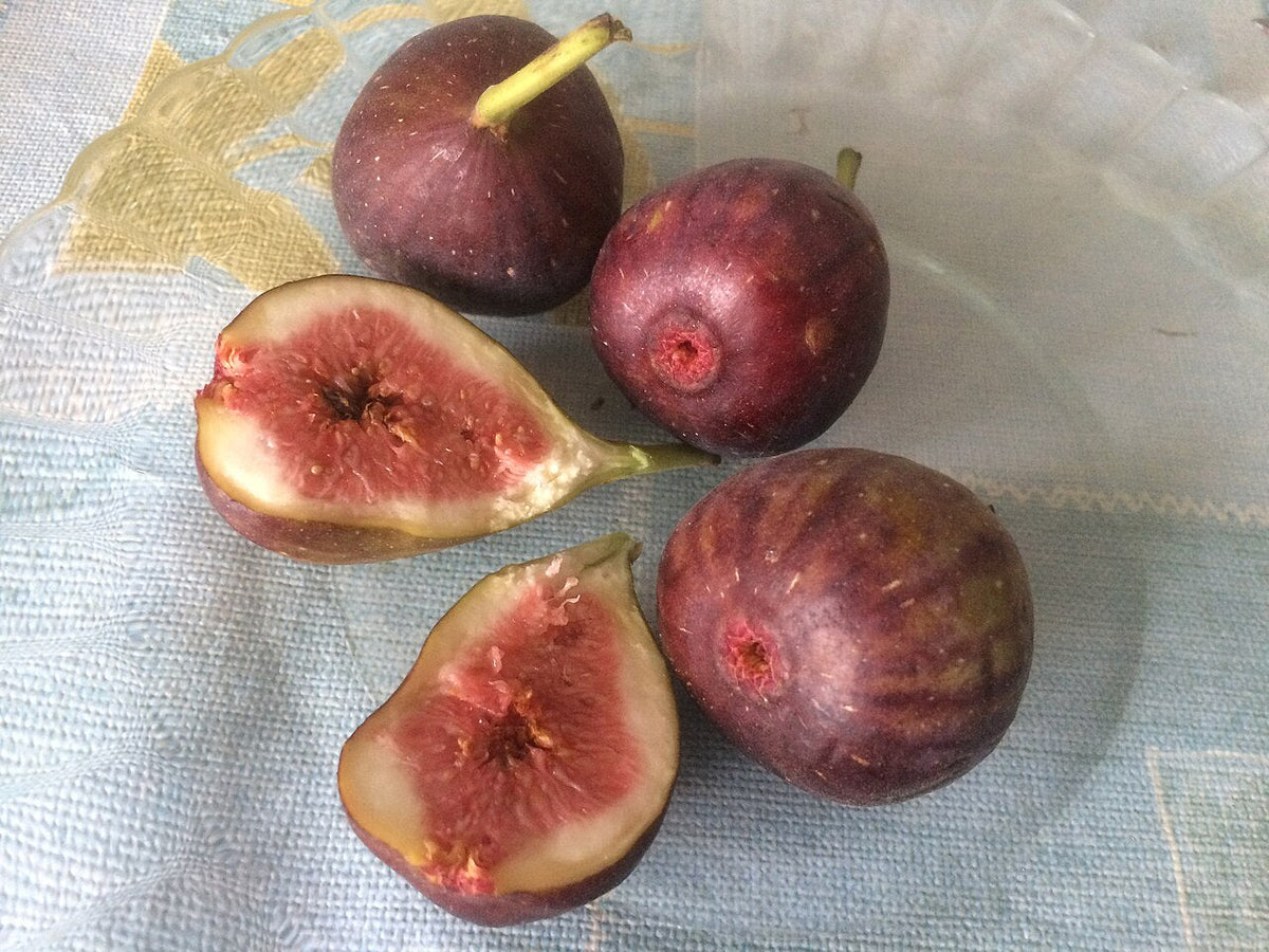 Figues fraîches entières et ouvertes