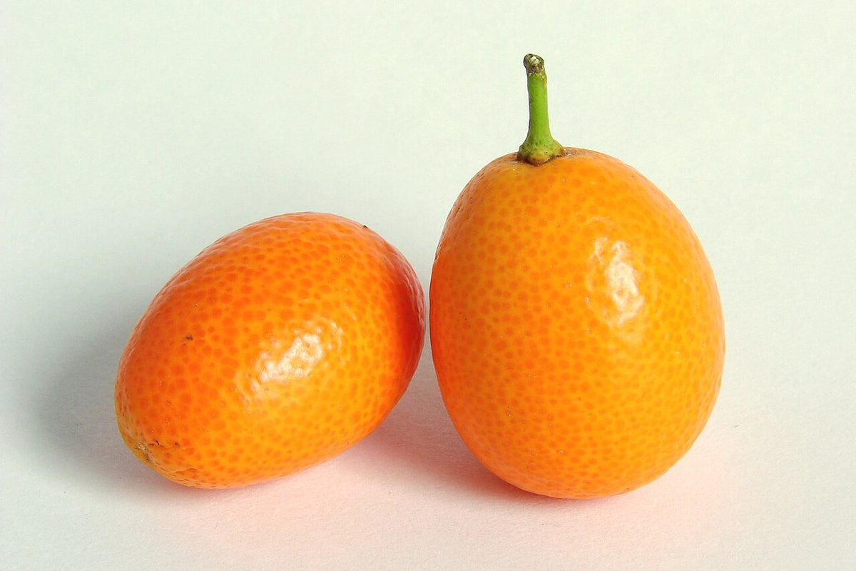 Kumquats mûrs