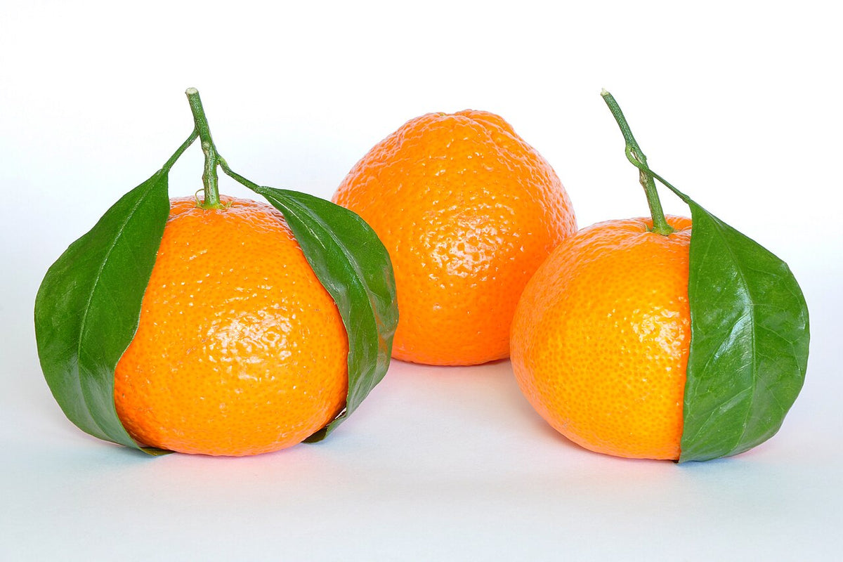Mandarines avec leurs feuilles
