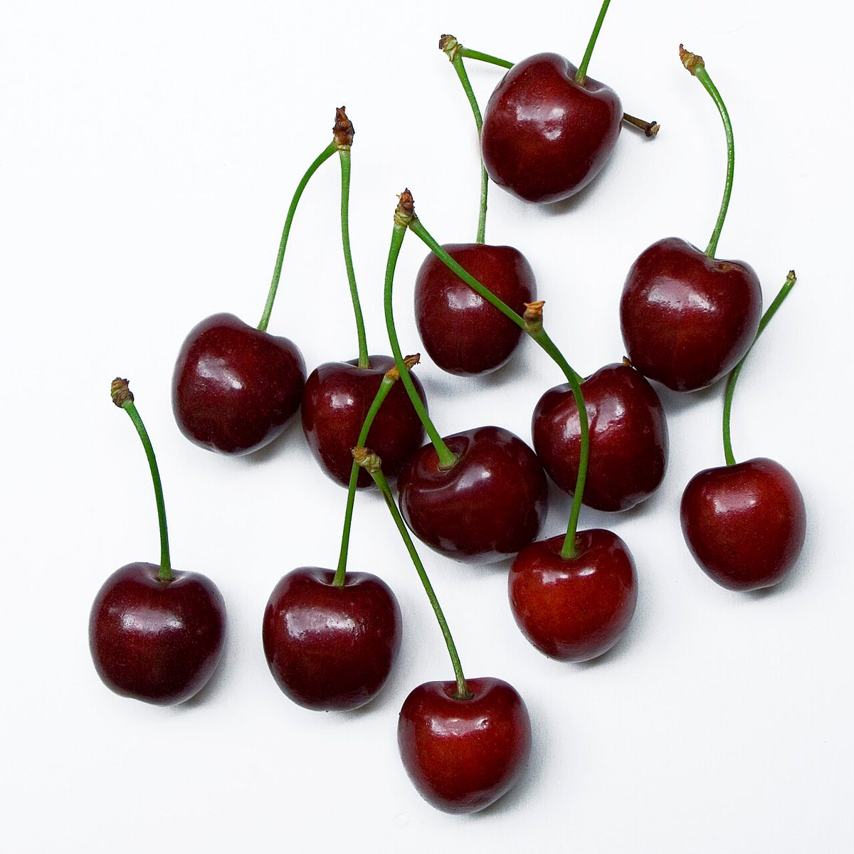 Cerises fraîchement cueillies