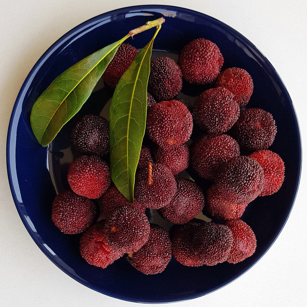 Fruits cueillis de l’arbousier de Chine