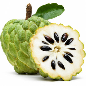 قشطة